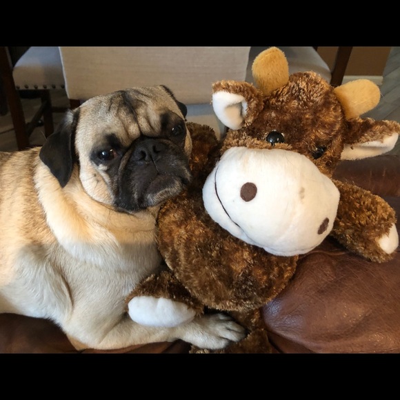 Meet your Posher, Kate - Picture 2 of 9